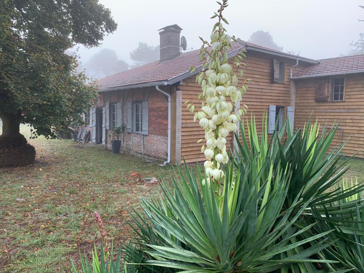 Maison Magnolia * Onesse-et-Laharie
