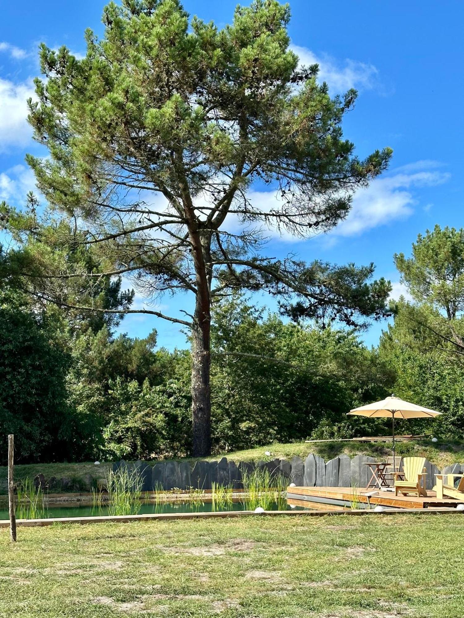 Maison Magnolia Alojamento de Acomodação e Pequeno-almoço Onesse-et-Laharie
